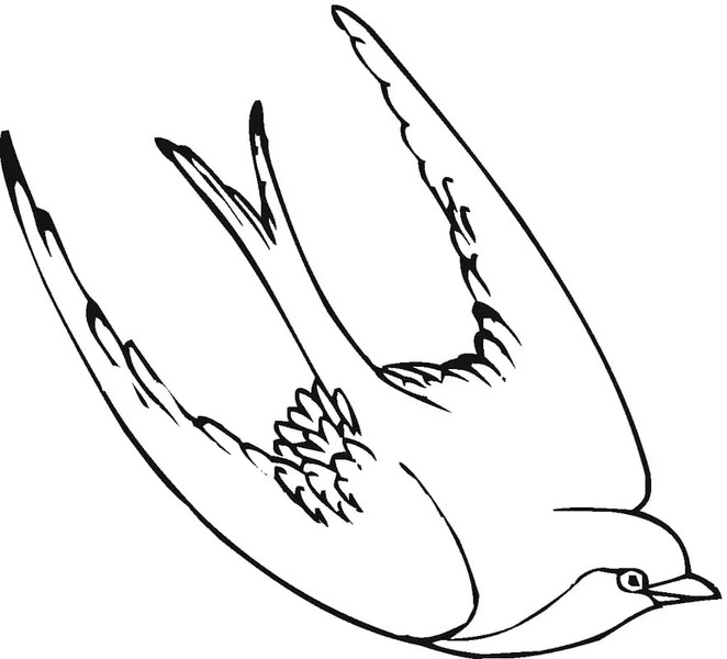 Coloriage Hirondelle très basique