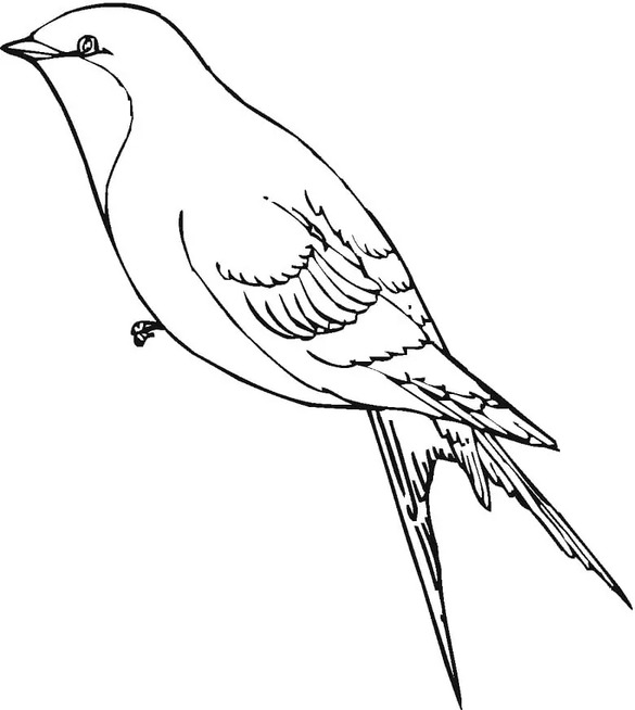 Coloriage Hirondelle très facile