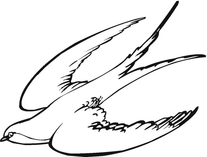 Coloriage Hirondelle très simple
