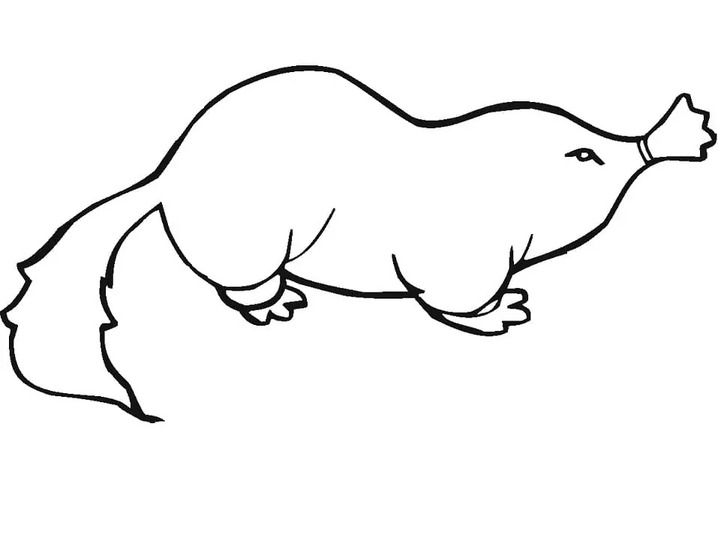 Coloriage Image de Taupe imprimable