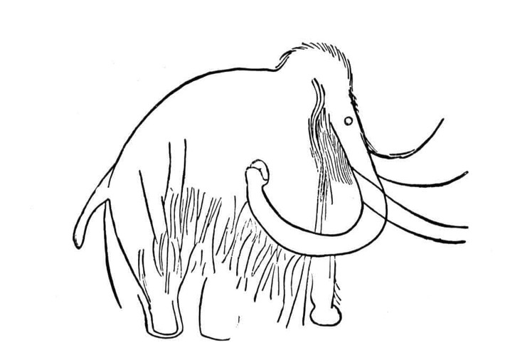 Coloriage Image Mammouth gratuite