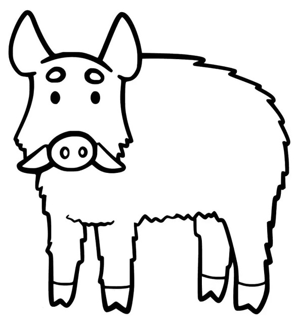 Coloriage Image Sanglier imprimable gratuite