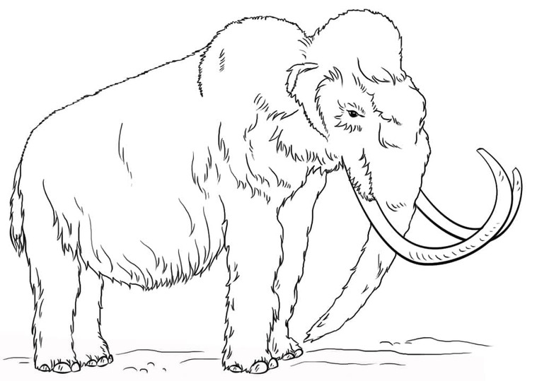 Coloriage Mammouth pour les enfants