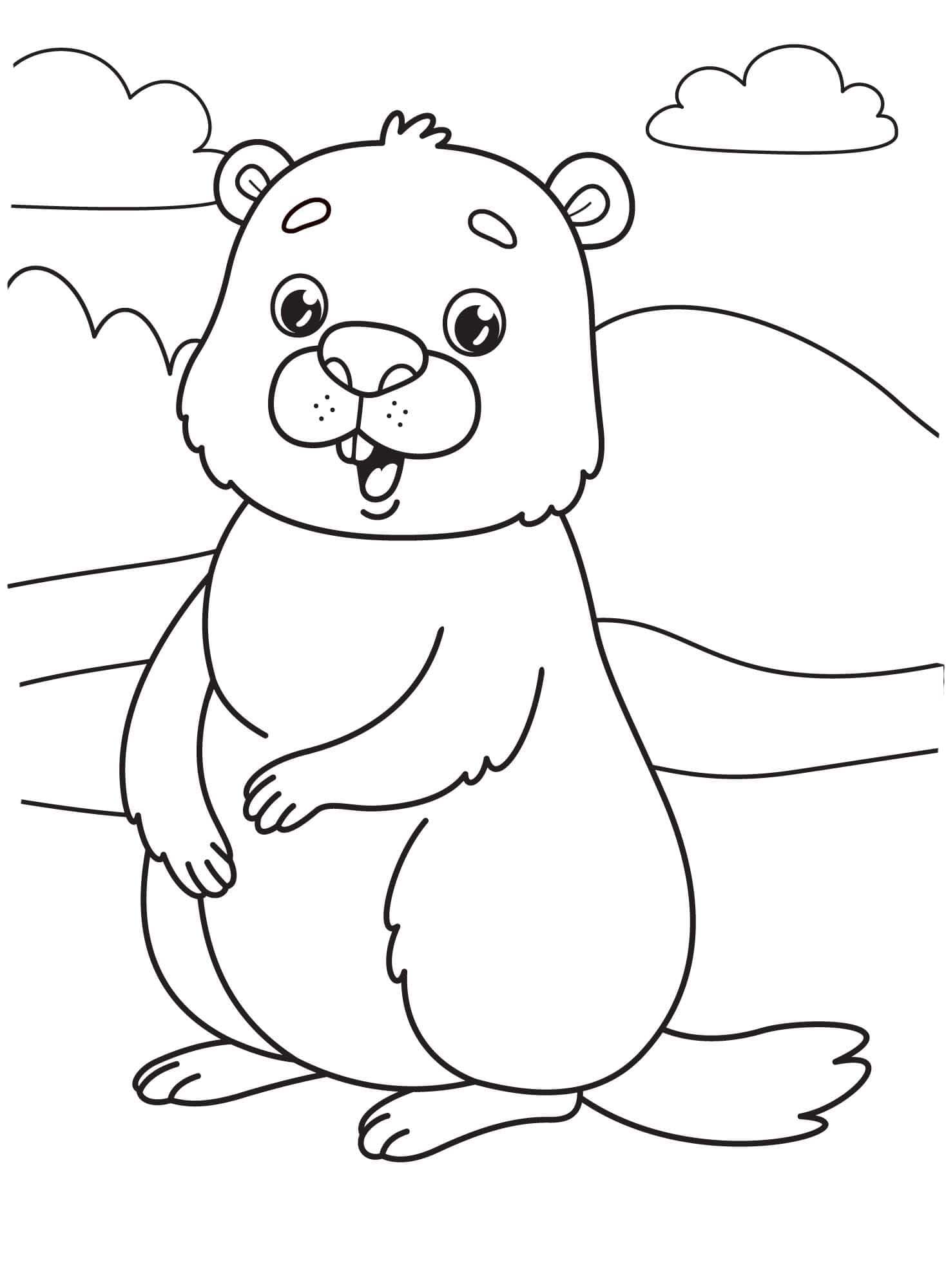 Coloriage Marmotte 4