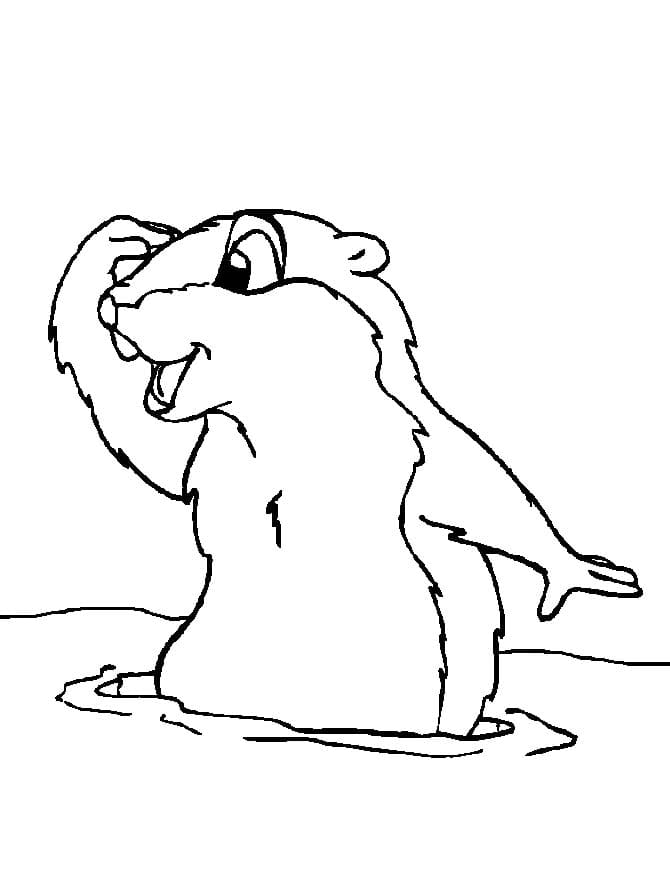 Coloriage Marmotte imprimable gratuite