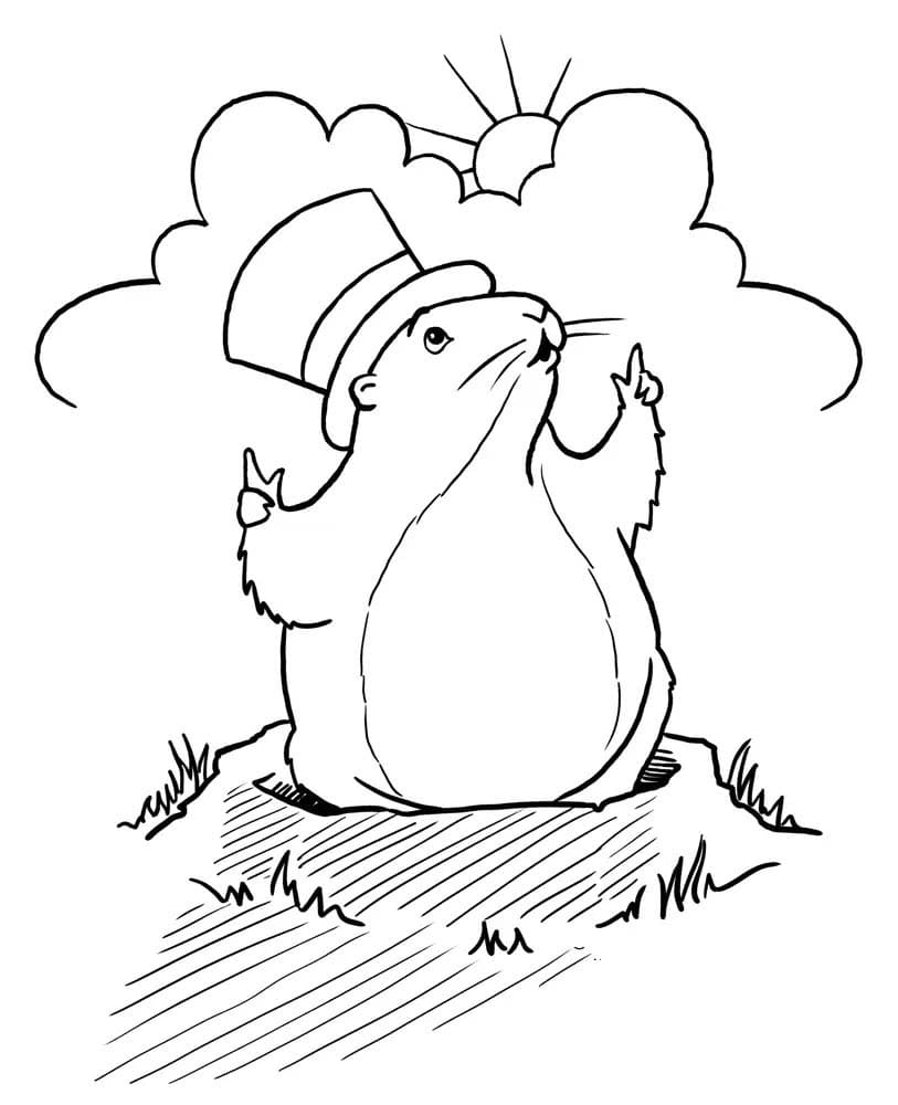 Coloriage Marmotte imprimable pour les enfants
