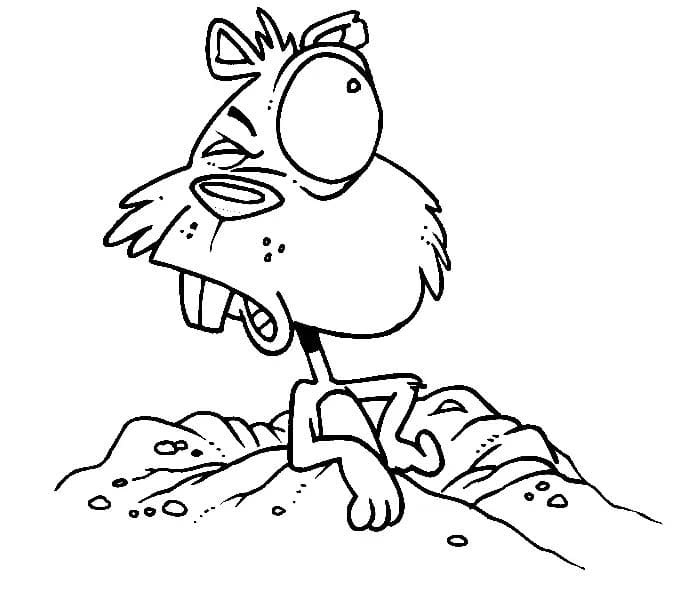 Coloriage Marmotte pour les enfants