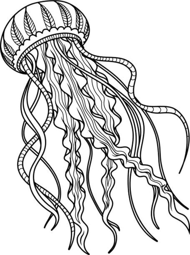 Coloriage Méduse imprimable
