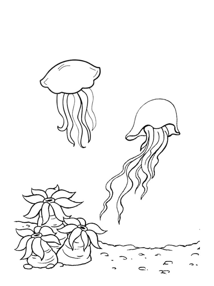 Coloriage Méduse imprimables pour les enfants