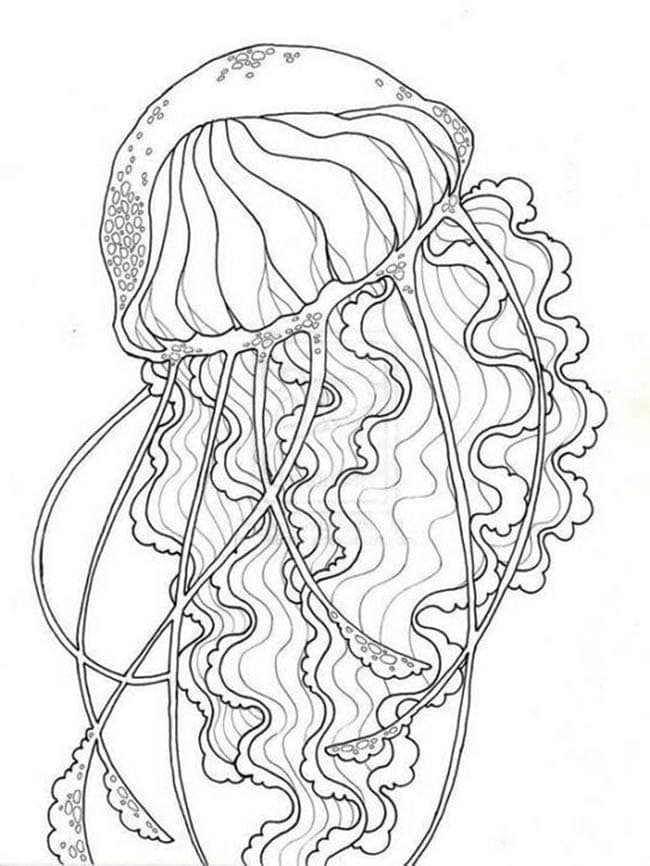Coloriage Méduse pour les enfants