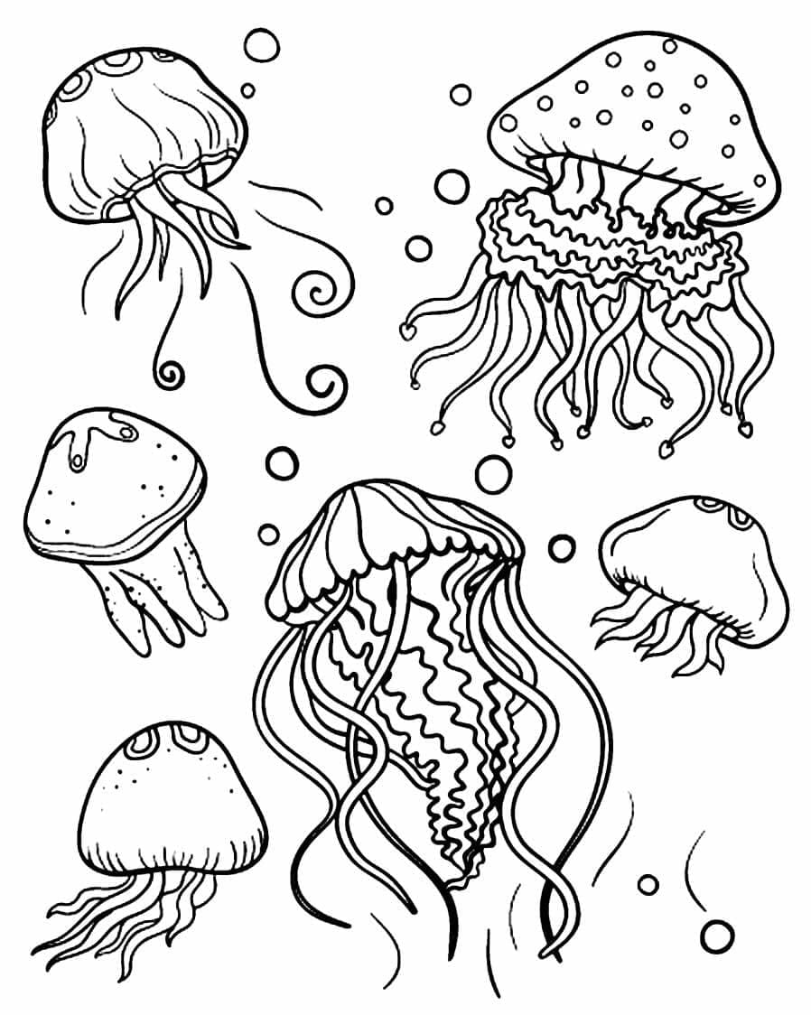 Coloriage Méduse très simple