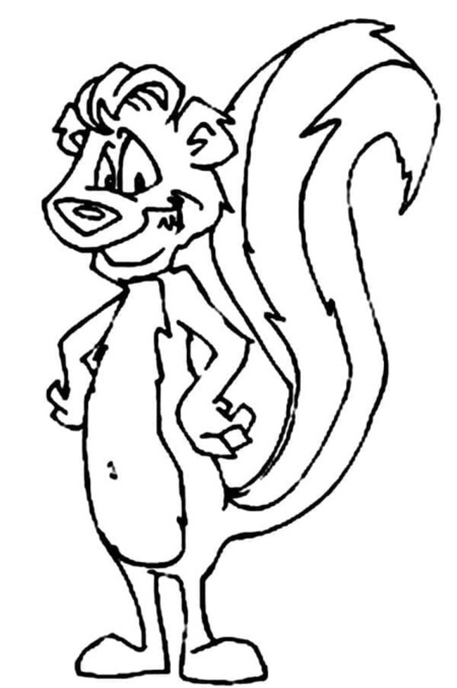 Coloriage Mouffette 3