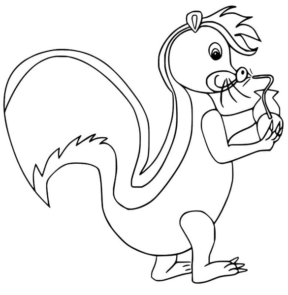 Coloriage Mouffette 5