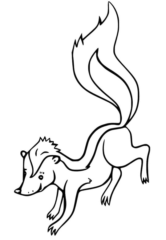 Coloriage Mouffette facile