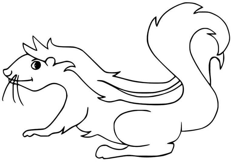 Coloriage Mouffette imprimable