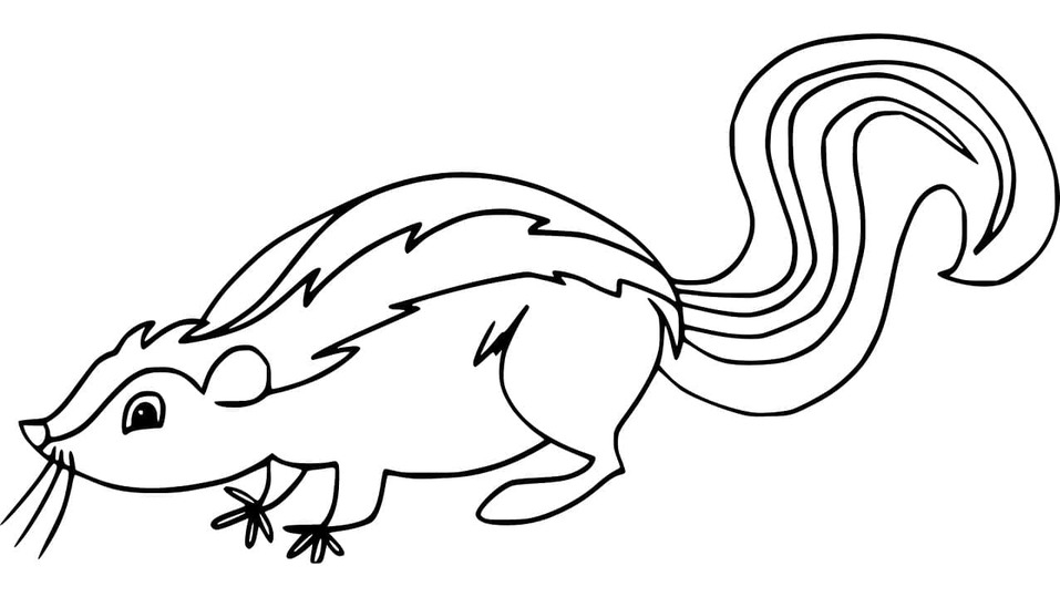 Coloriage Mouffette imprimable gratuite