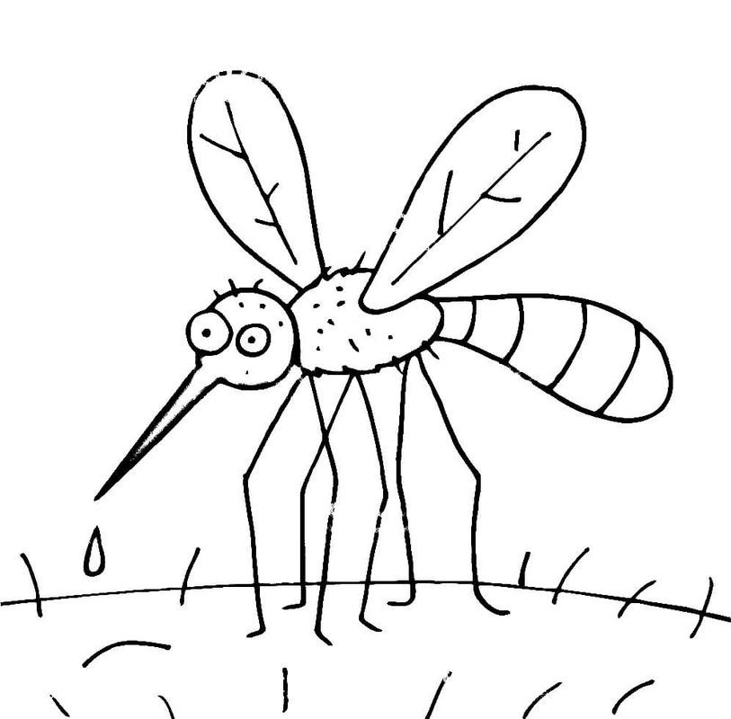 Coloriage Moustique pour enfant