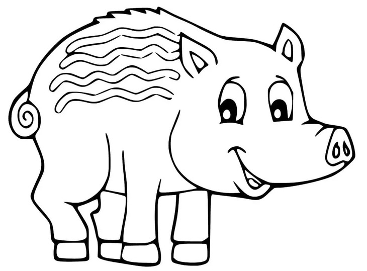 Coloriage Sanglier 8