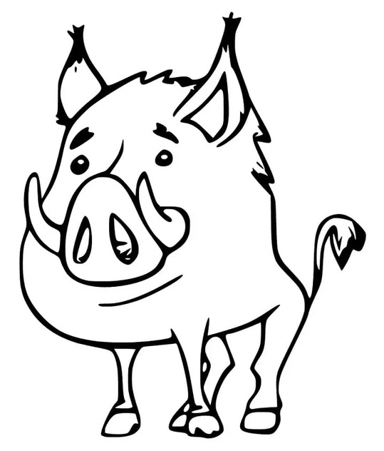 Coloriage Sanglier facile