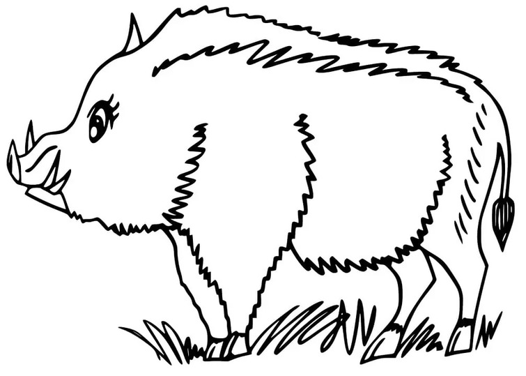 Coloriage Sanglier gratuite