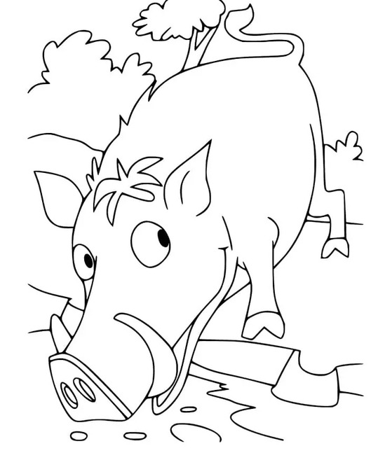Coloriage Sanglier imprimable