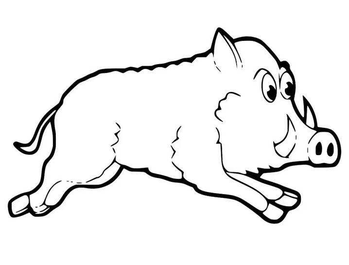 Coloriage Sanglier imprimer pour les enfants