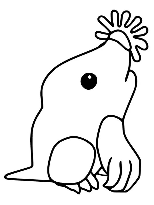 Coloriage Taupe à imprimer
