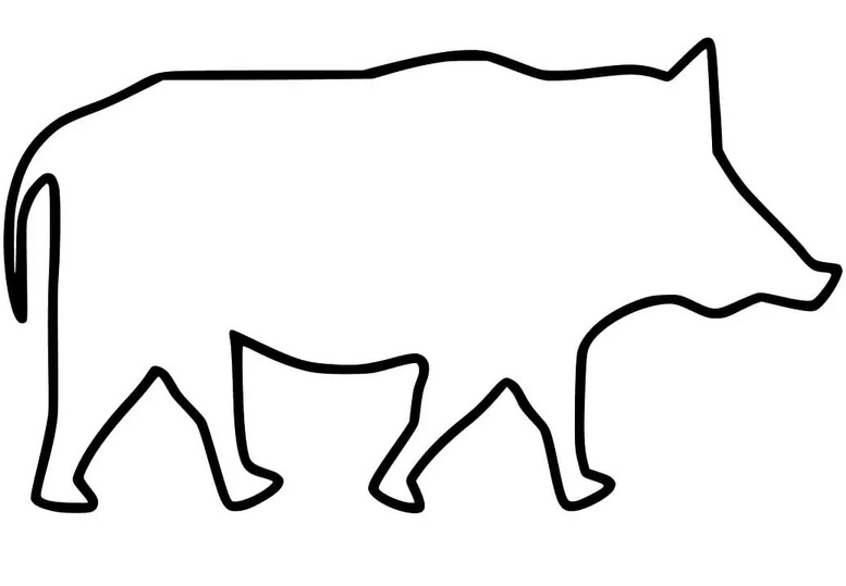Coloriage Très basique Sanglier