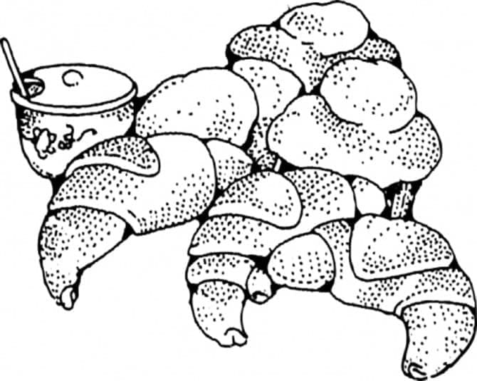 Coloriage Croissant gratuit pour les enfants