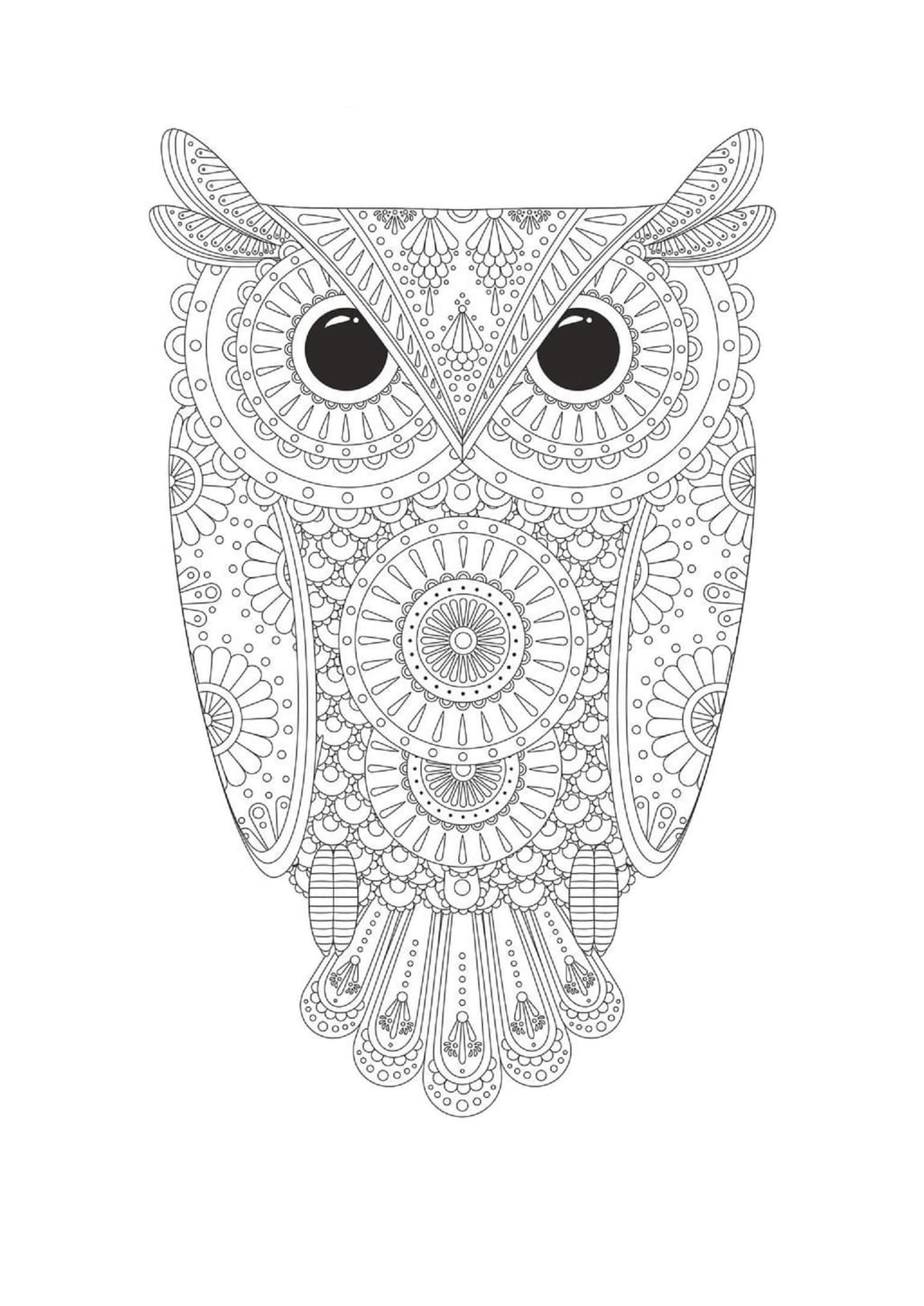 Coloriage Dessiner Mandala Hibou pour enfant