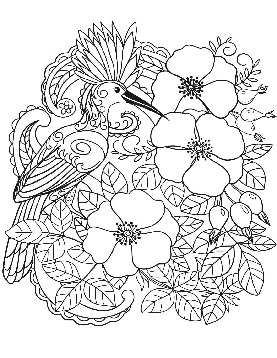 Coloriage Dessiner Mandala Oiseau