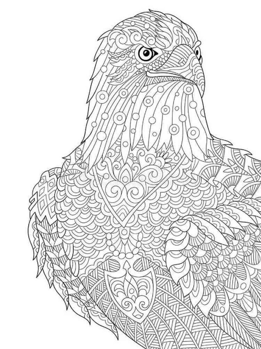 Coloriage Dessiner Mandala Oiseau facile