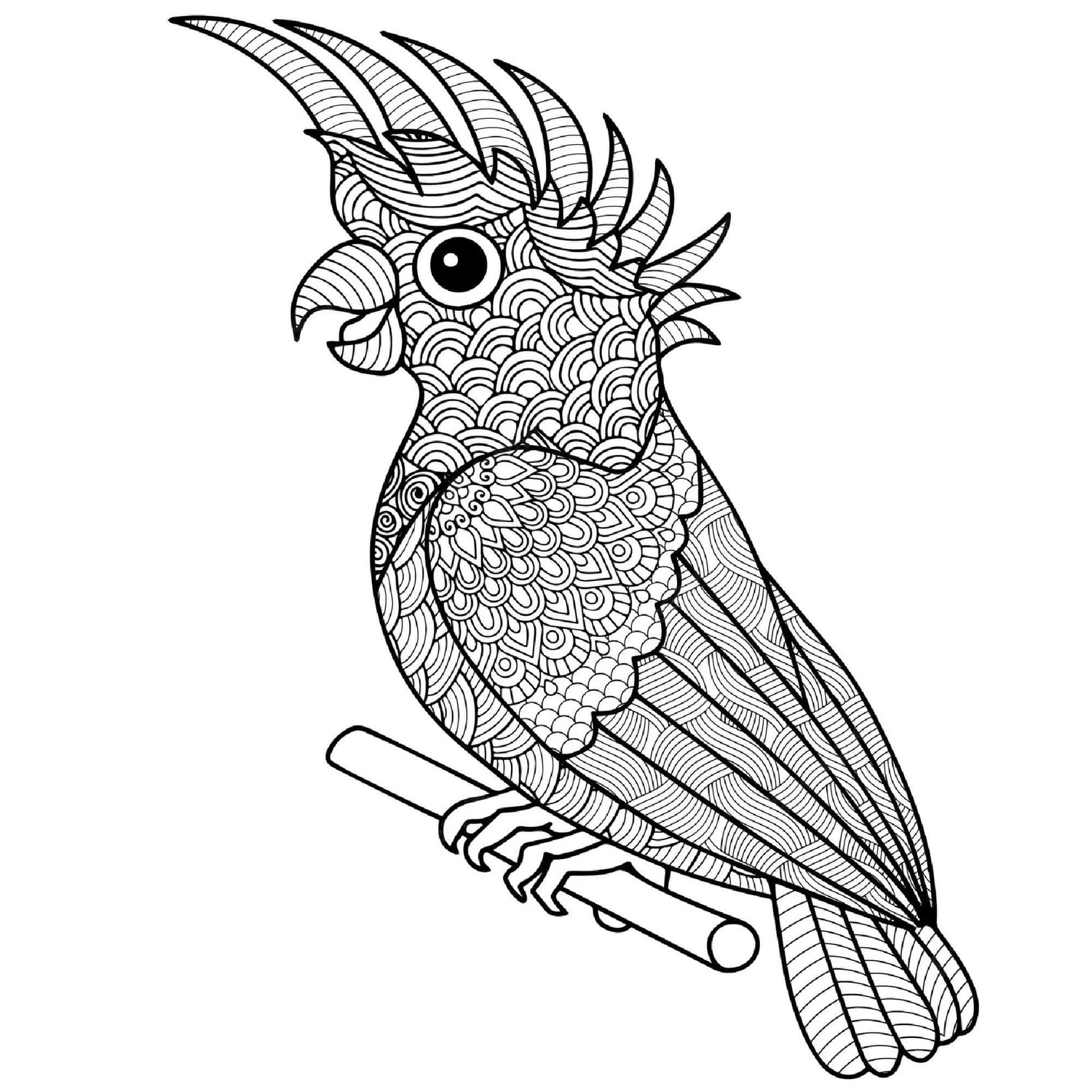 Coloriage Dessiner Mandala Oiseau gratuit pour les enfants