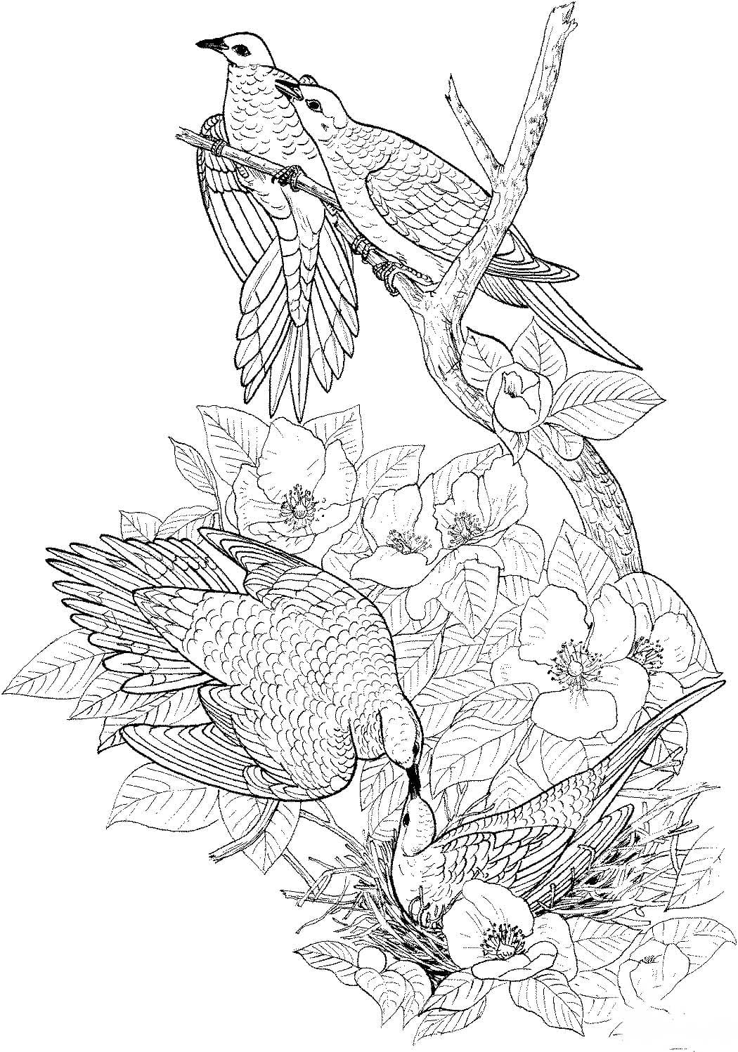 Coloriage Dessiner Mandala Oiseau imprimable pour les enfants