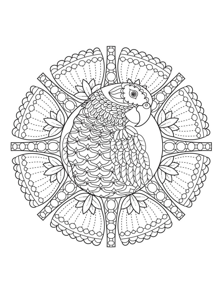 Coloriage Dessiner Mandala Oiseau pour les enfants