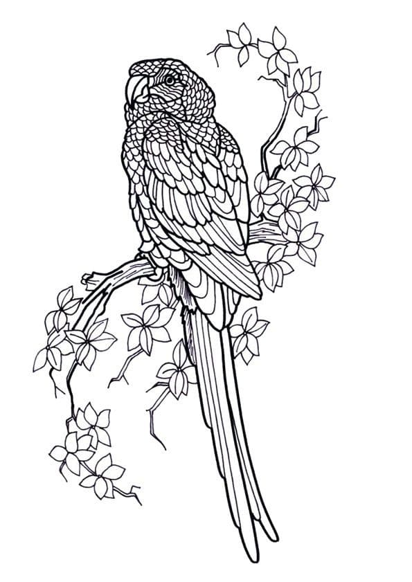 Coloriage Dessiner Mandala Oiseau simple chez les enfants