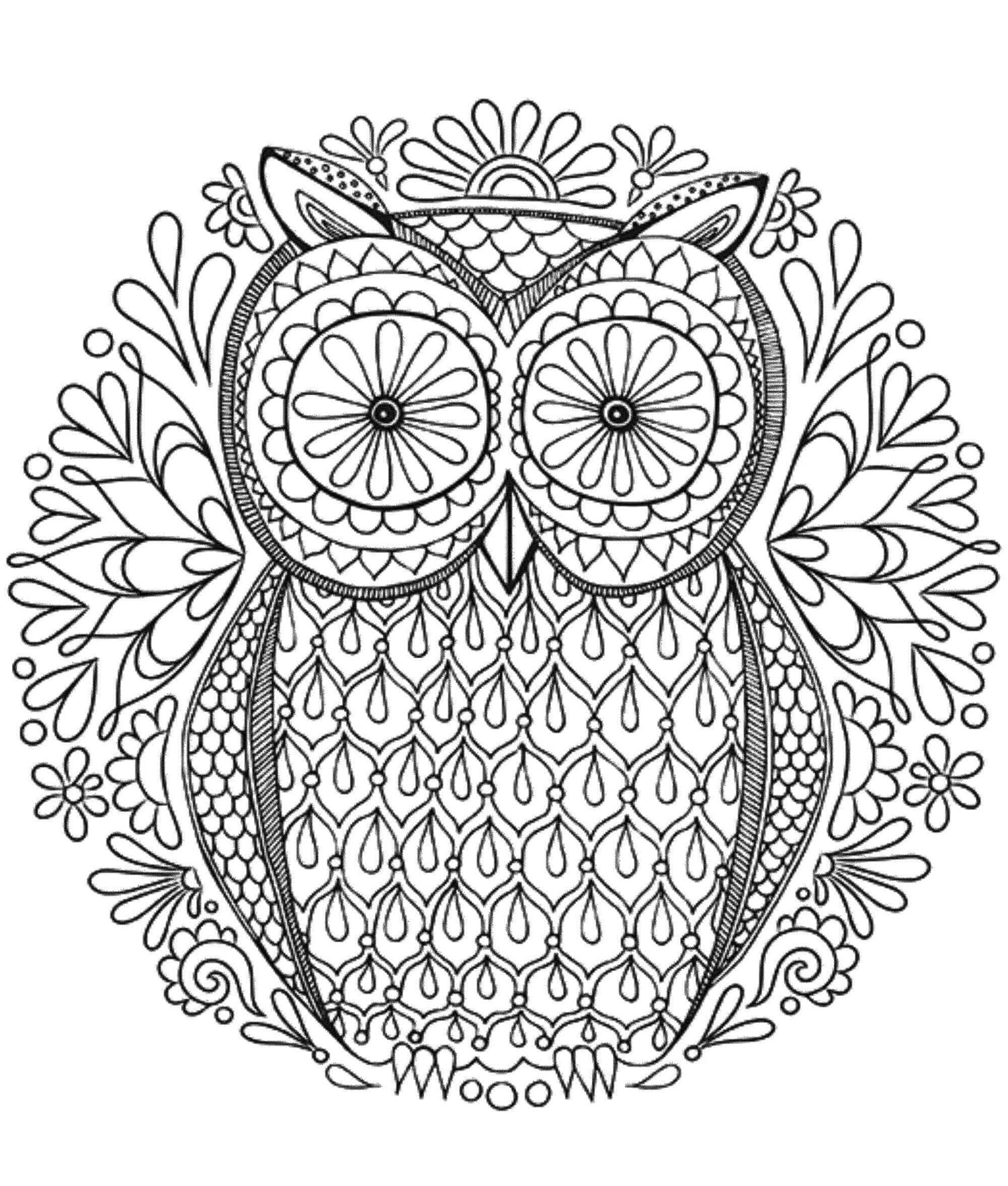 Coloriage Image de Mandala Hibou imprimable gratuite