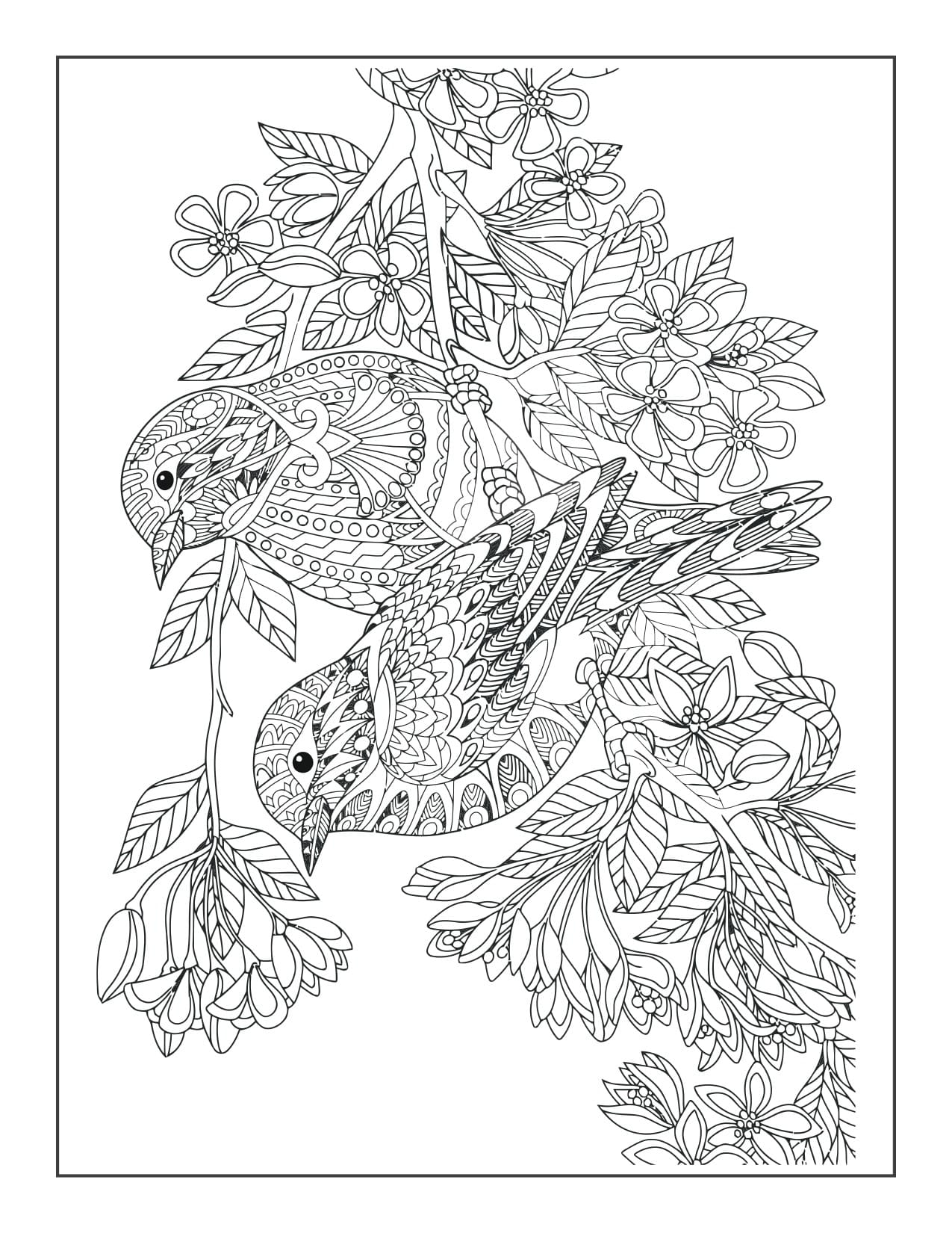 Coloriage Image Mandala Oiseau