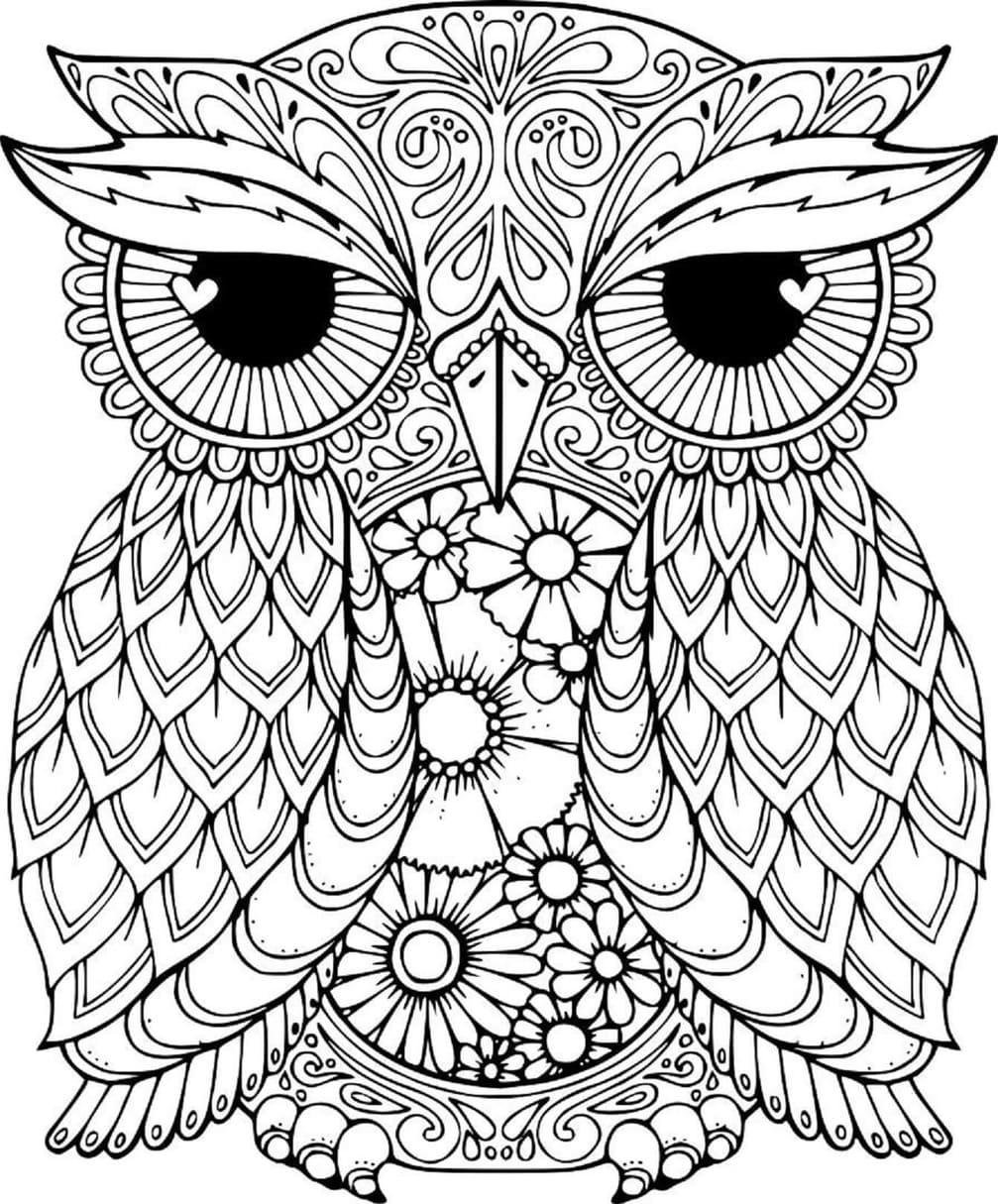 Coloriage Mandala Hibou chez enfant