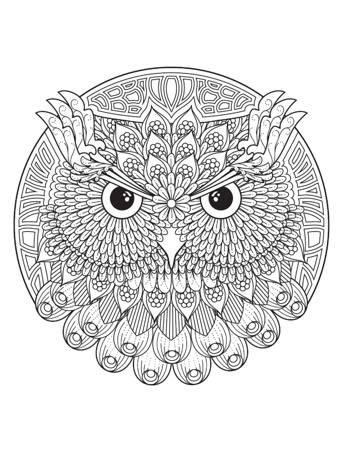 Coloriage Mandala Hibou chez enfants