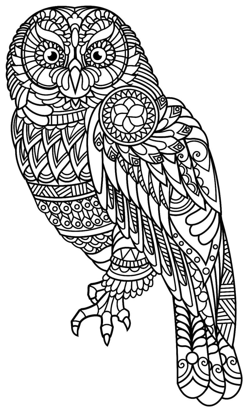 Coloriage Mandala Hibou imprimable pour les enfants
