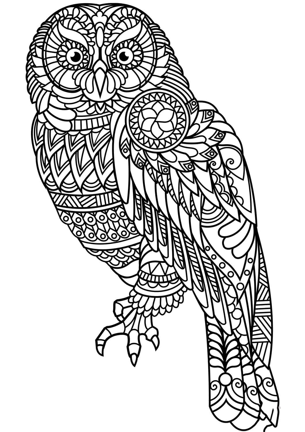 Coloriage Mandala Oiseau basique chez les enfants
