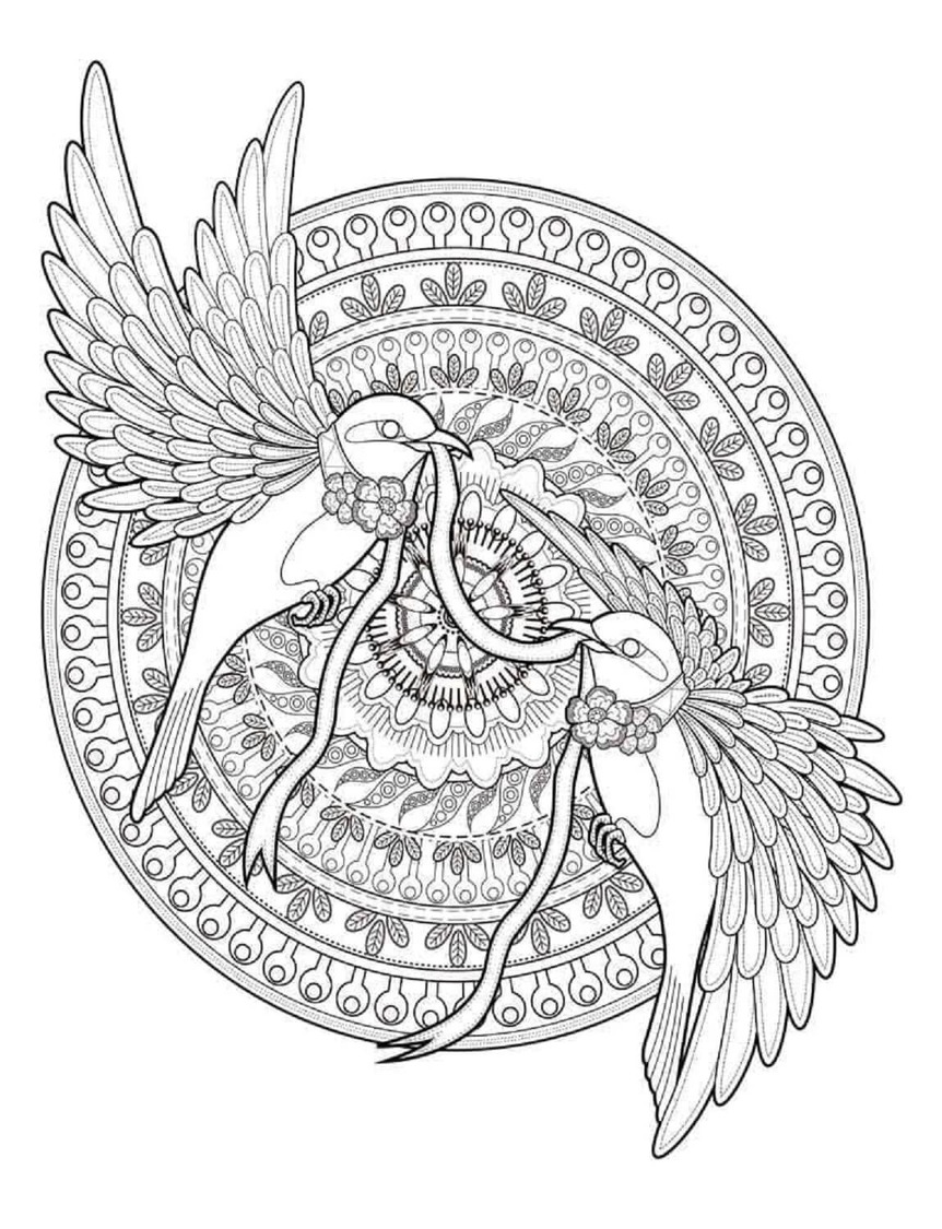 Coloriage Mandala Oiseau facile
