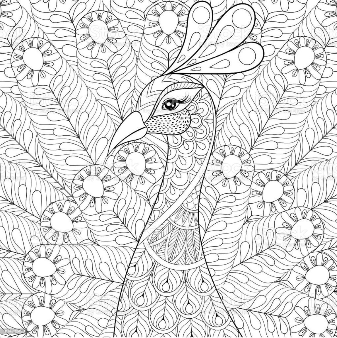 Coloriage Mandala Oiseau gratuit pour les enfants
