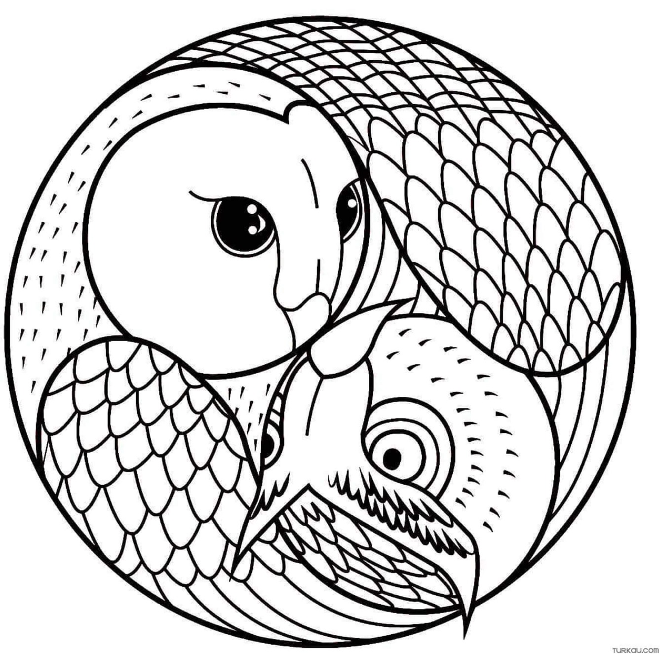 Coloriage Mandala Oiseau simple