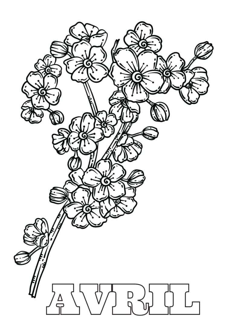 Coloriage Avril 5