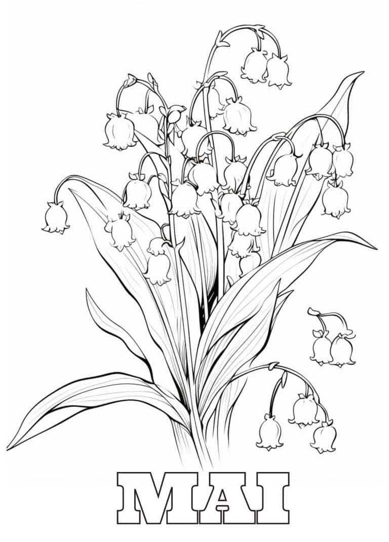 Coloriage Dessiner Mai facile