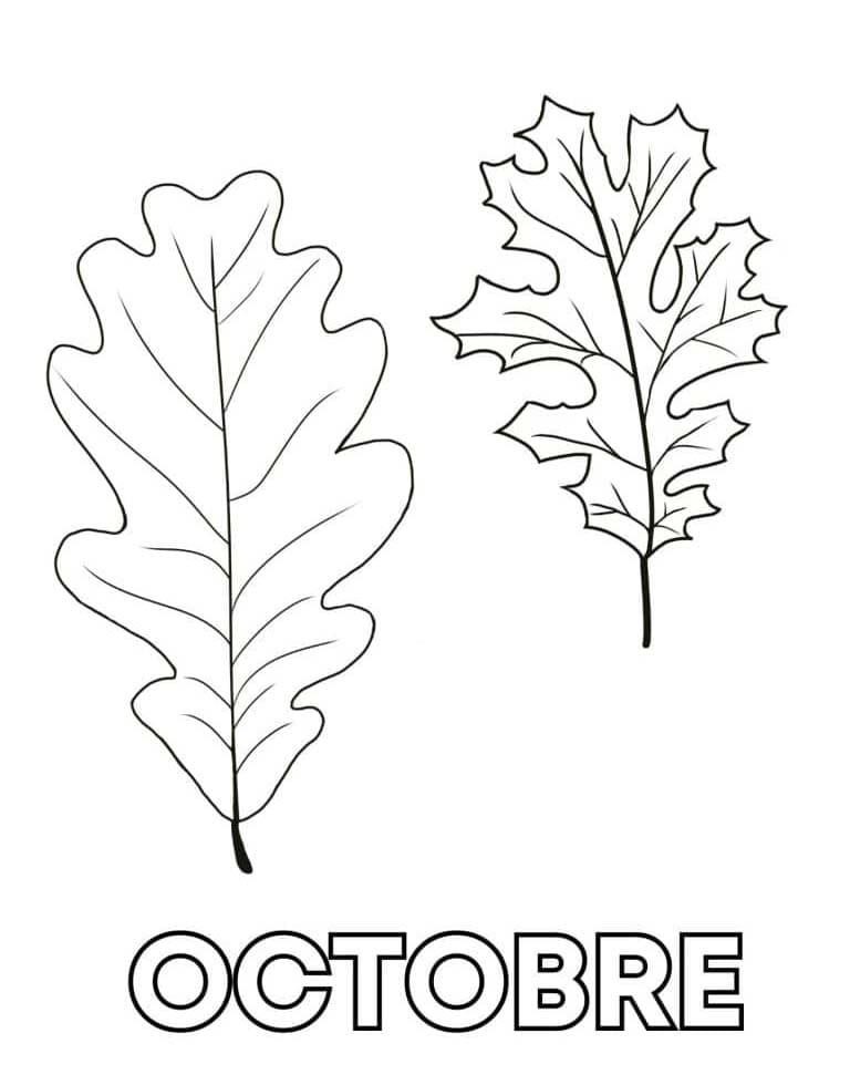 Coloriage Dessiner Octobre gratuite