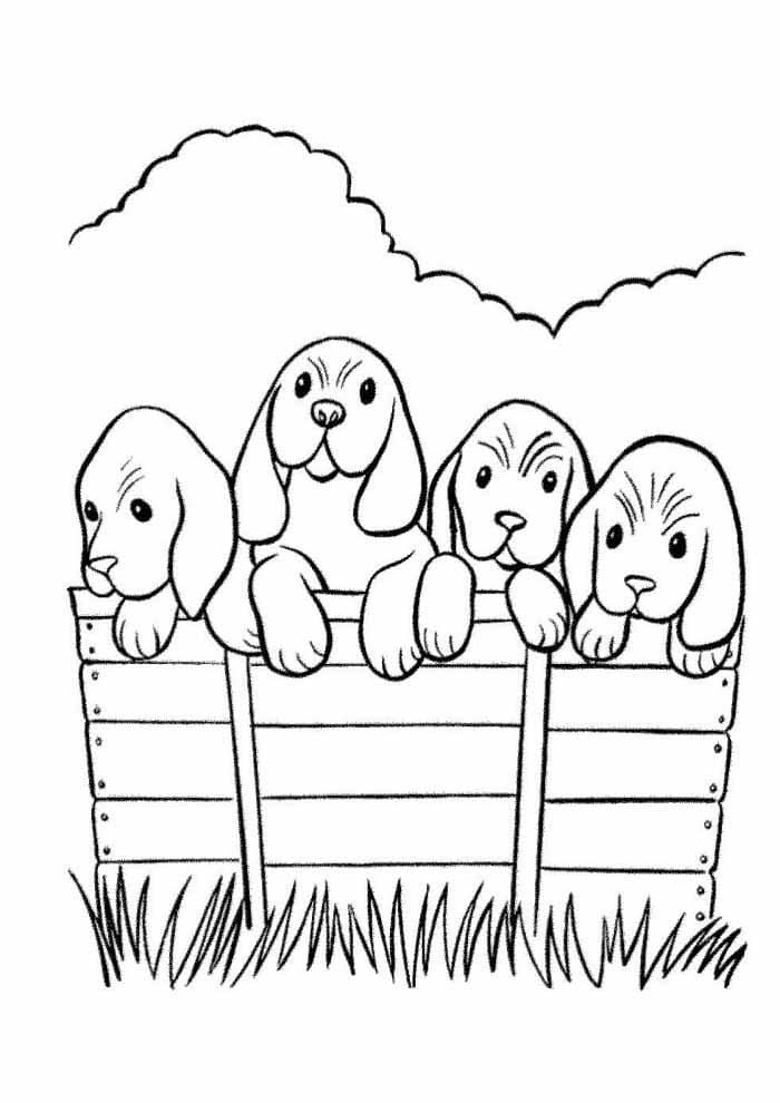Četiri Psa coloring page