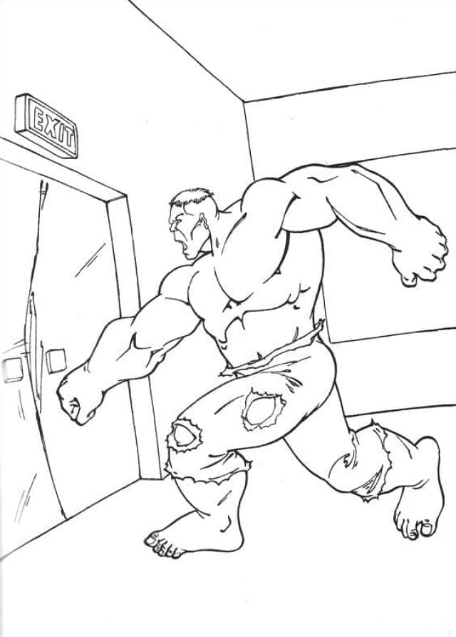 Bojanke Normalan Hulk